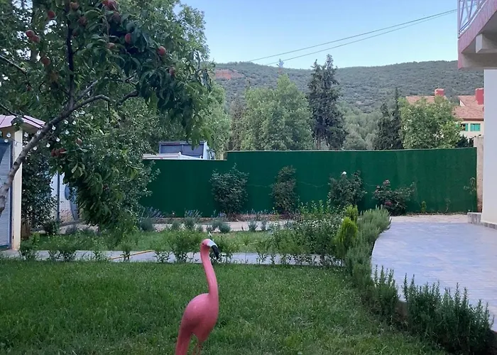 Villa Ain Soltan