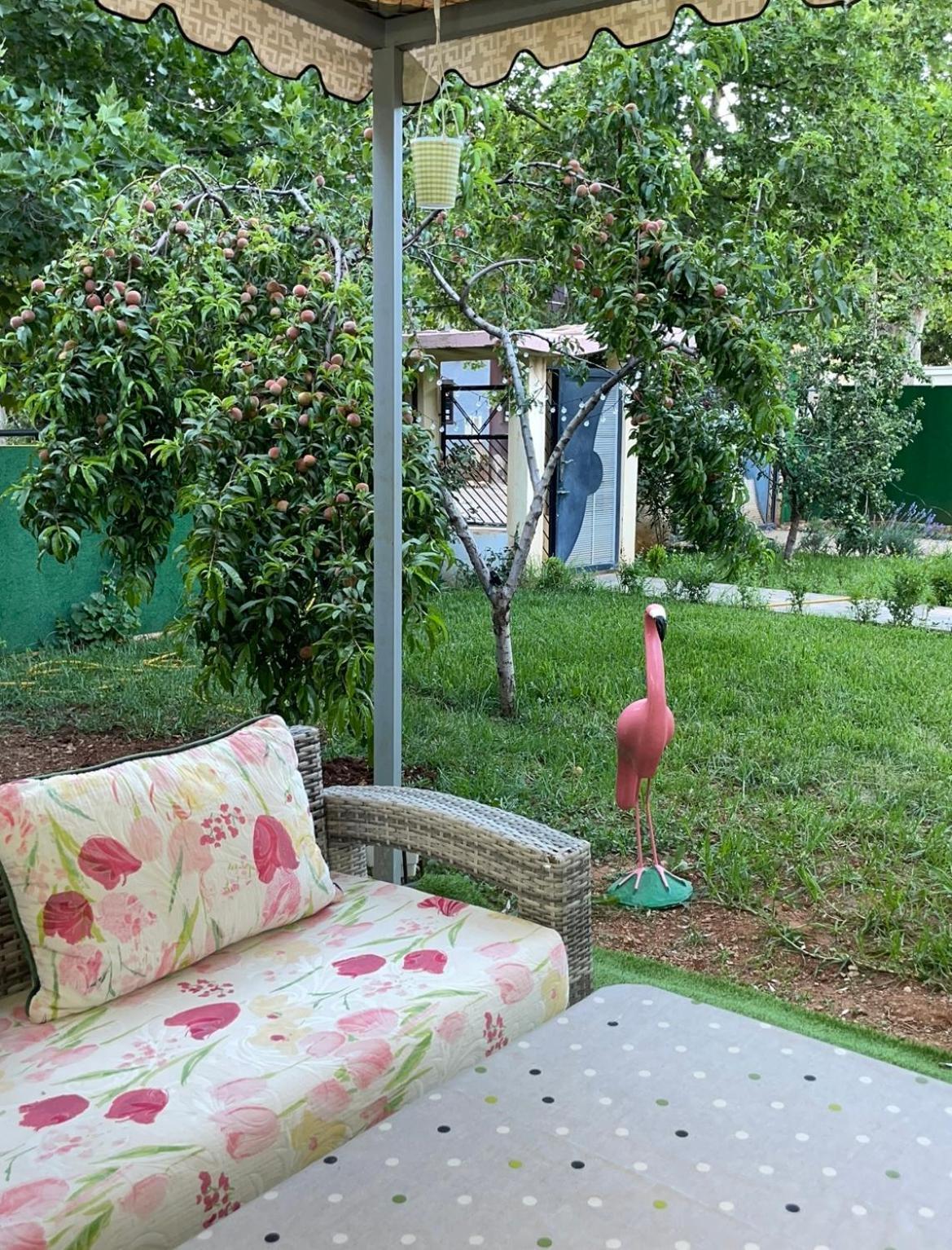 Ain Soltan Villa